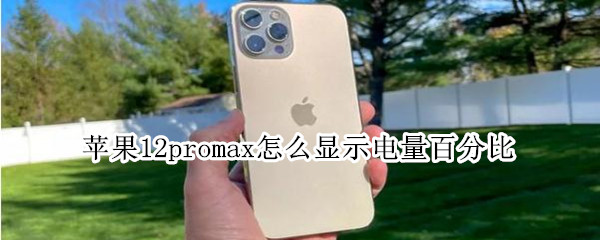 ƻ��12promax��ô��ʾ�����ٷֱ�