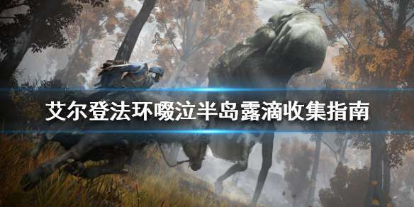 �����Ƿ�������뵺����Щ¶�� ��ͷ������뵺¶���ռ�ָ��