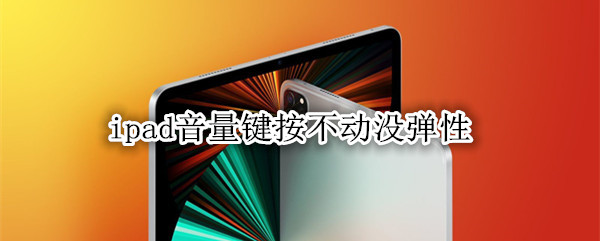 ipad������������û����